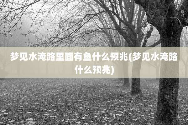 梦见水淹路里面有鱼什么预兆(梦见水淹路什么预兆)