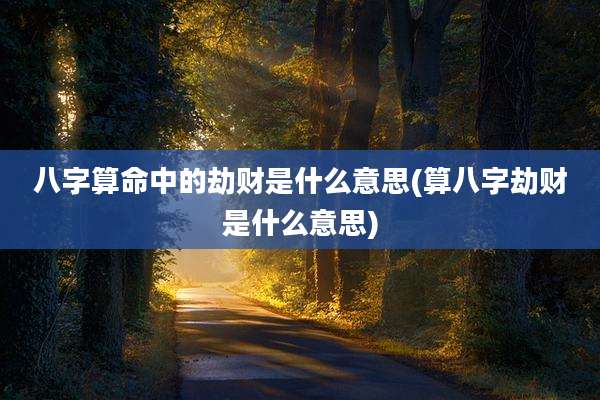 八字算命中的劫财是什么意思(算八字劫财是什么意思)