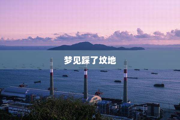 梦见踩了坟地