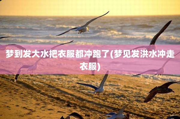 梦到发大水把衣服都冲跑了(梦见发洪水冲走衣服)
