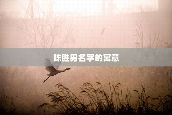 陈胜男名字的寓意