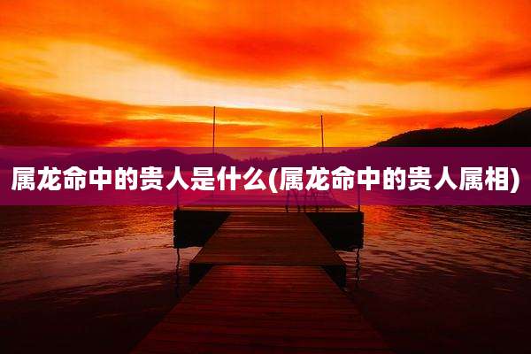 属龙命中的贵人是什么(属龙命中的贵人属相)