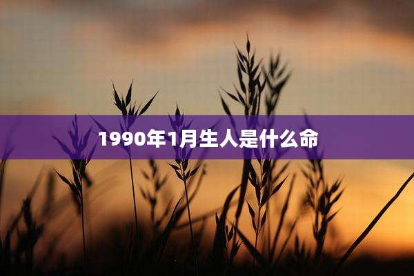 1990年1月生人是什么命