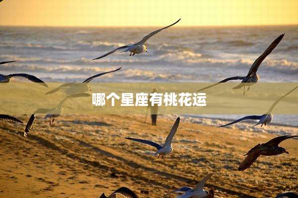 哪个星座有桃花运