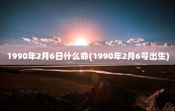 1990年2月6日什么命(1990年2月6号出生)