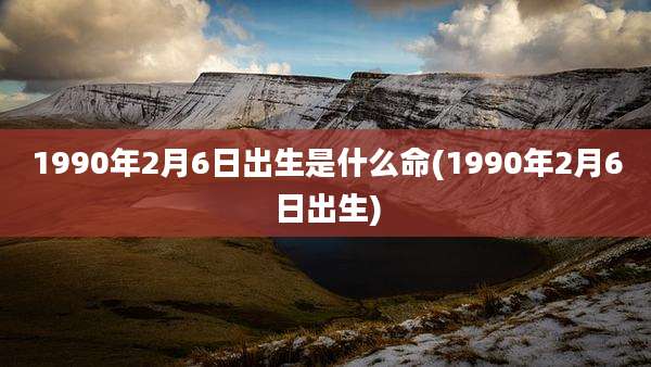1990年2月6日出生是什么命(1990年2月6日出生)