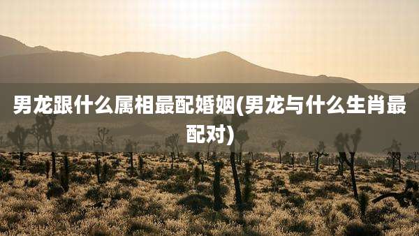 男龙跟什么属相最配婚姻(男龙与什么生肖最配对)