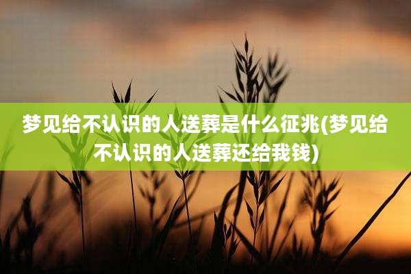 梦见给不认识的人送葬是什么征兆(梦见给不认识的人送葬还给我钱)