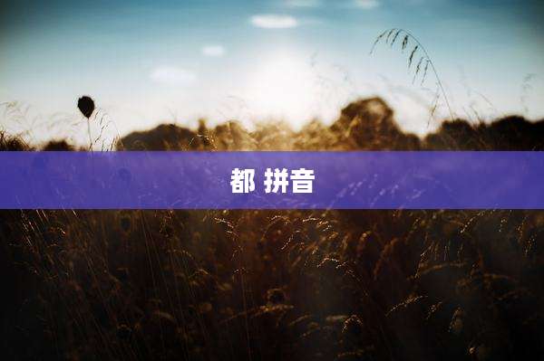 都 拼音