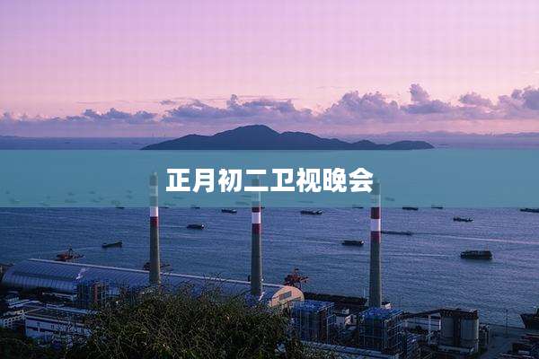 正月初二卫视晚会
