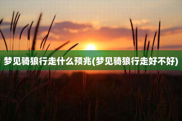 梦见骑狼行走什么预兆(梦见骑狼行走好不好)