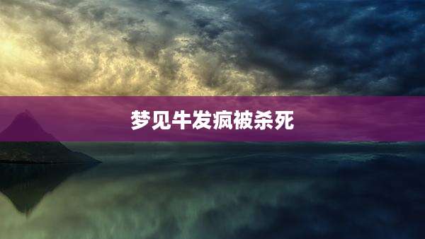 梦见牛发疯被杀死