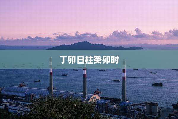 丁卯日柱癸卯时