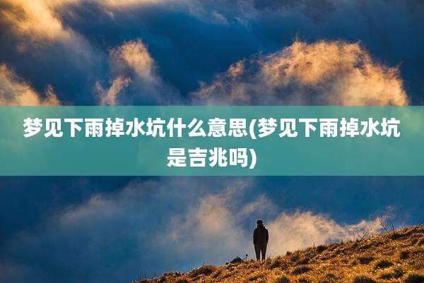 梦见下雨掉水坑什么意思(梦见下雨掉水坑是吉兆吗)