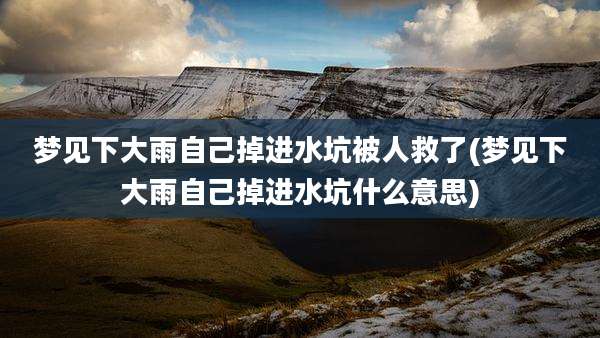 梦见下大雨自己掉进水坑被人救了(梦见下大雨自己掉进水坑什么意思)
