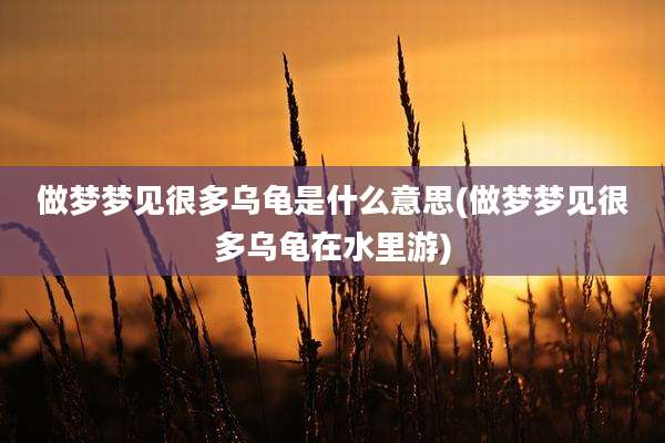 做梦梦见很多乌龟是什么意思(做梦梦见很多乌龟在水里游)