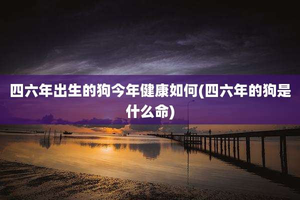 四六年出生的狗今年健康如何(四六年的狗是什么命)
