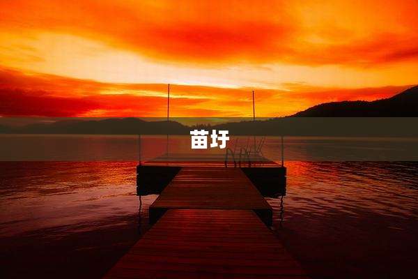 苗圩