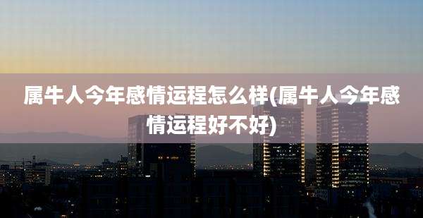属牛人今年感情运程怎么样(属牛人今年感情运程好不好)