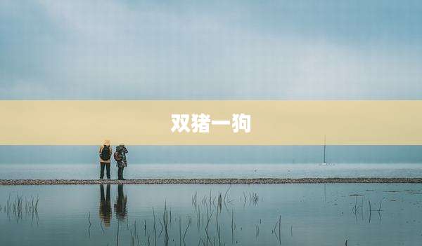 双猪一狗