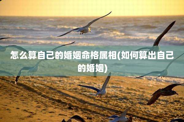 怎么算自己的婚姻命格属相(如何算出自己的婚姻)
