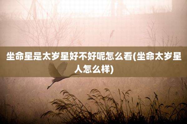 坐命星是太岁星好不好呢怎么看(坐命太岁星人怎么样)