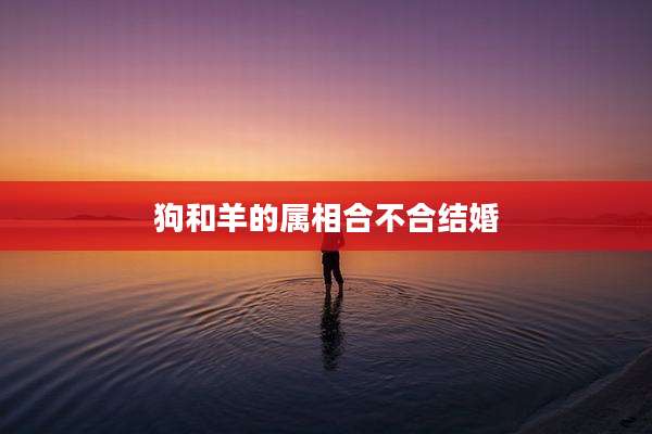 狗和羊的属相合不合结婚