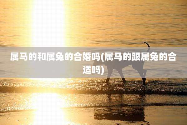 属马的和属兔的合婚吗(属马的跟属兔的合适吗)
