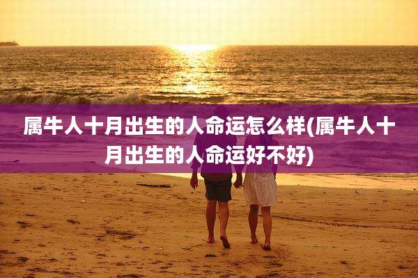 属牛人十月出生的人命运怎么样(属牛人十月出生的人命运好不好)