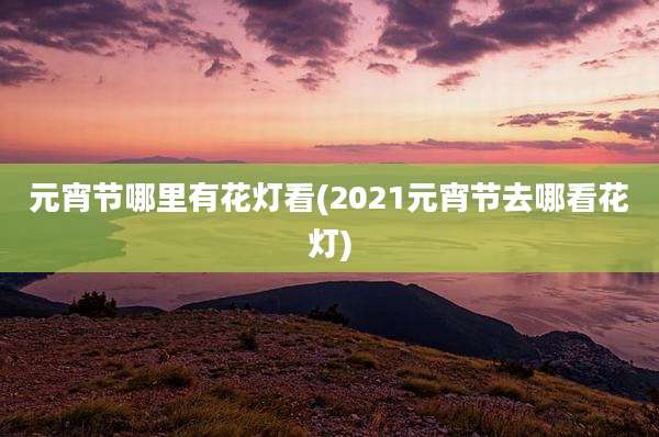 元宵节哪里有花灯看(2021元宵节去哪看花灯)