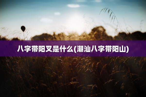 八字带阳叉是什么(潮汕八字带阳山)
