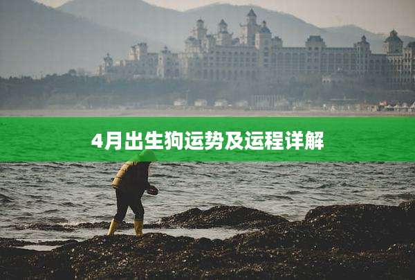 4月出生狗运势及运程详解
