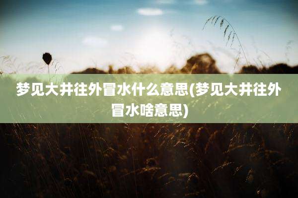 梦见大井往外冒水什么意思(梦见大井往外冒水啥意思)