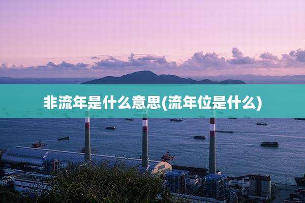 非流年是什么意思(流年位是什么)