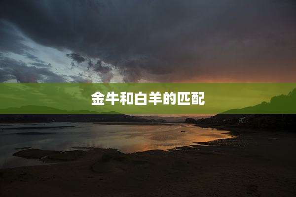 金牛和白羊的匹配