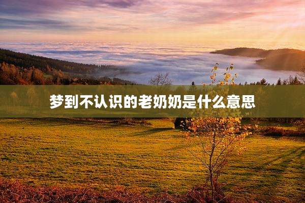 梦到不认识的老奶奶是什么意思
