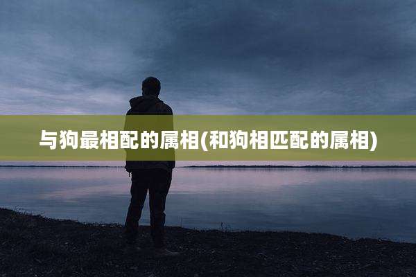与狗最相配的属相(和狗相匹配的属相)