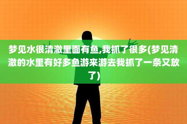 梦见水很清澈里面有鱼,我抓了很多(梦见清澈的水里有好多鱼游来游去我抓了一条又放了)