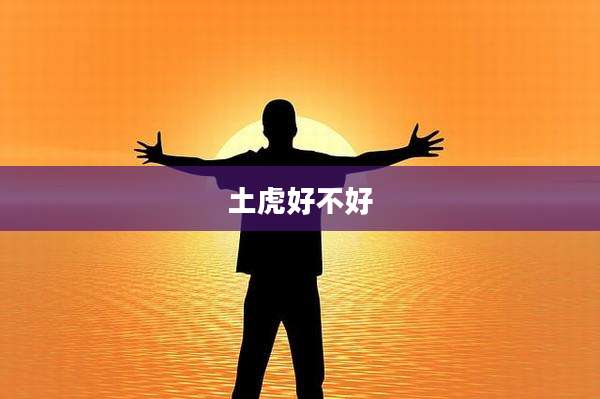 土虎好不好