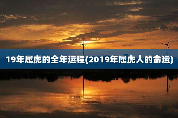 19年属虎的全年运程(2019年属虎人的命运)