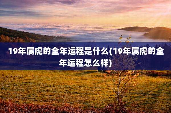19年属虎的全年运程是什么(19年属虎的全年运程怎么样)