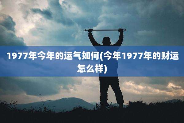 1977年今年的运气如何(今年1977年的财运怎么样)