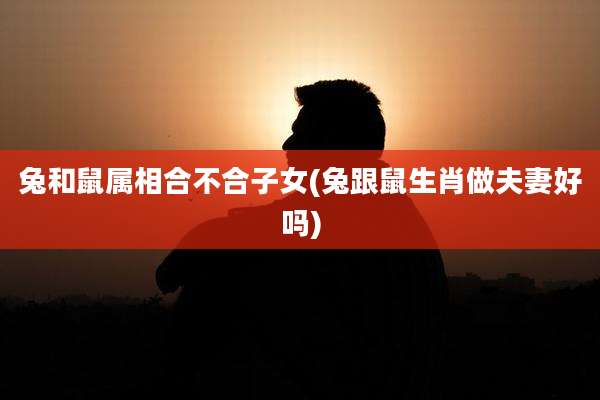 兔和鼠属相合不合子女(兔跟鼠生肖做夫妻好吗)