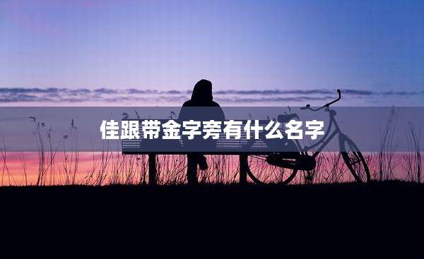 佳跟带金字旁有什么名字