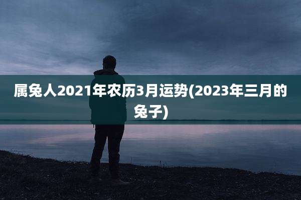 属兔人2021年农历3月运势(2023年三月的兔子)