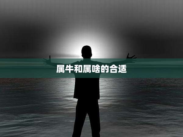 属牛和属啥的合适