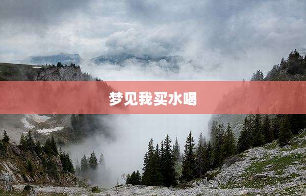梦见我买水喝