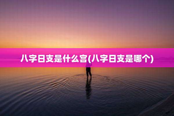 八字日支是什么宫(八字日支是哪个)