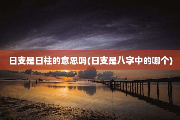 日支是日柱的意思吗(日支是八字中的哪个)