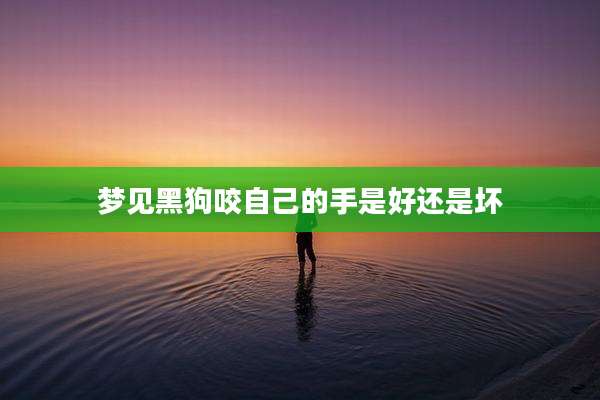梦见黑狗咬自己的手是好还是坏